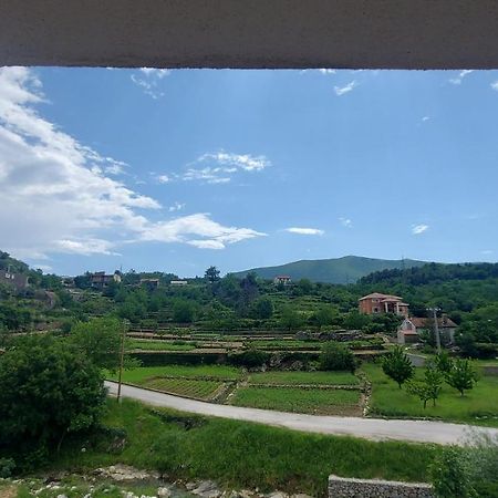 Apartman Nature Zvecanje Buitenkant foto