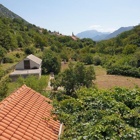 Apartman Nature Zvecanje Buitenkant foto