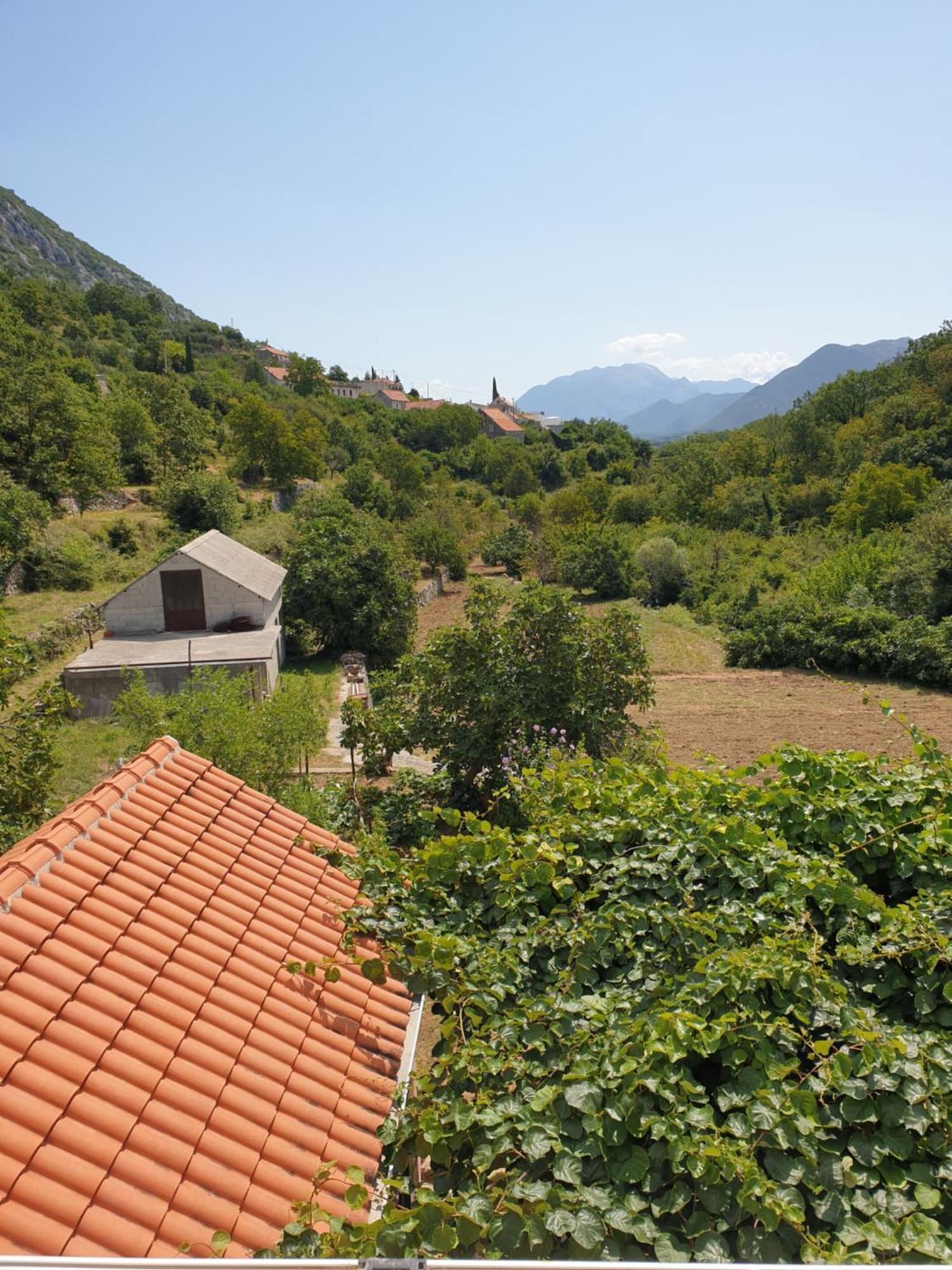 Apartman Nature Zvecanje Buitenkant foto